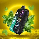 Double Mint (3).webp