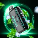 Double Mint.webp