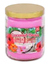 Smoke Odor 13oz Candle - Coconut Groce