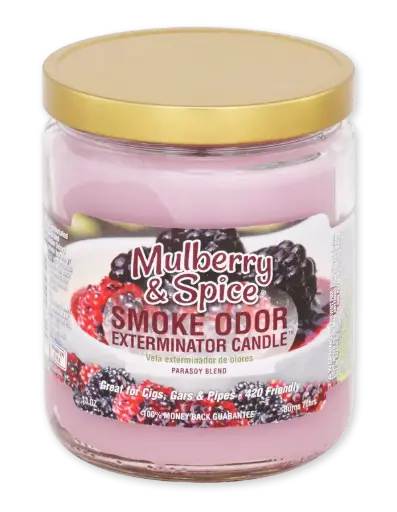 Smoke Odor 13oz Candle - Mulberry and Spice