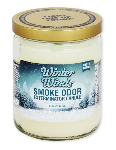 Smoke Odor 13oz Candle - Winter Wind